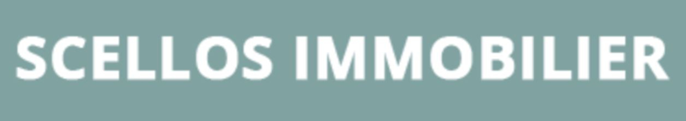 logo-demo